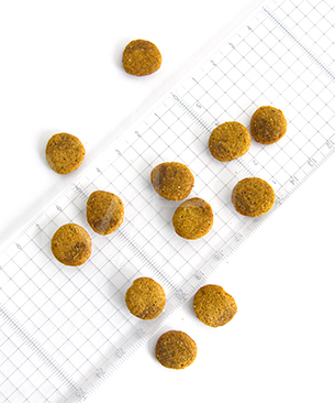 ルーシーペット DOG ベジタリアンフォーミュラ