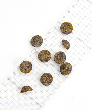 ルーシーペット DOG スーパーフード ウルトラドッグ