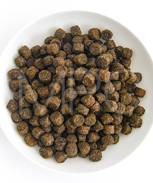 ルーシーペット DOG スーパーフード ウルトラドッグ 小粒