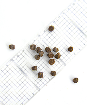 ルーシーペット DOG スーパーフード ウルトラドッグ 小粒