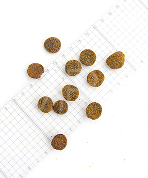 ルーシーペット DOG スーパーフード ウルトラリデュースカロリードッグ