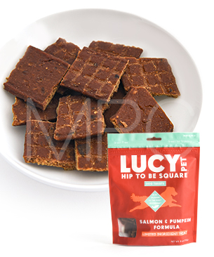ルーシーペット DOG ヒップトゥービースクエア ドッグトリーツ サーモン＆パンプキン 170g