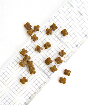 ナウフレッシュ DOG グッドグレービー グレインフリー スモールブリード アダルト ターキー＆サーモン＆ダックレシピ