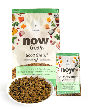 ナウフレッシュ DOG グッドグレービー グレインフリー スモールブリード アダルト ターキー＆サーモン＆ダックレシピ
