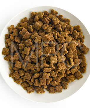 ナウフレッシュ DOG グッドグレービー グレインフリー スモールブリード シニア ターキー＆サーモン＆ダックレシピ