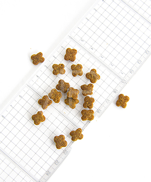 ナウフレッシュ DOG グッドグレービー グレインフリー スモールブリード シニア ターキー＆サーモン＆ダックレシピ