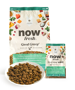 ナウフレッシュ DOG グッドグレービー グレインフリー スモールブリード シニア ターキー＆サーモン＆ダックレシピ