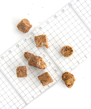 ニュートライプ CAT ワイルドカット フリーズドライ フィッシュ＆ラム withグリーントライプ