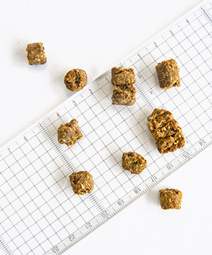 ニュートライプ DOG クランチ オーブンベークド ビーフwithグリーントライプ