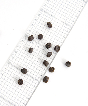 オーナット DOG グレインフリー プライム 小粒 チキン＆ターキー お試しミニサイズ 30g