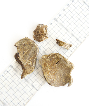 Piece 豚レバーフリーズドライ 25g