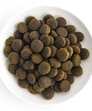 POCHI ミディアムラージブリード 3種のポルトリー