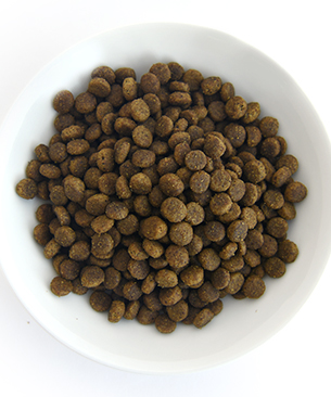 POCHI ボディヘルス ワイルドサーモン