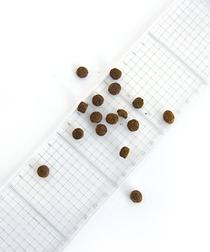 POCHI ボディヘルス ラム