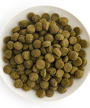 POCHI ミディアムラージブリード ワイルドサーモン 100g