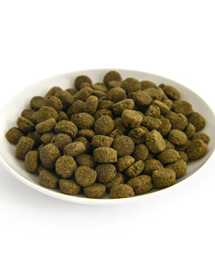 POCHI ミディアムラージブリード ワイルドサーモン 100g