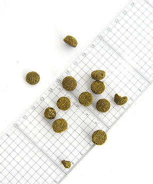 POCHI ミディアムラージブリード ワイルドサーモン 100g