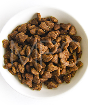 プレスティージ DOG パピー 小粒