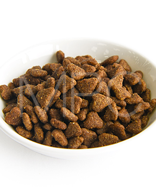 プレスティージ DOG パピー 小粒