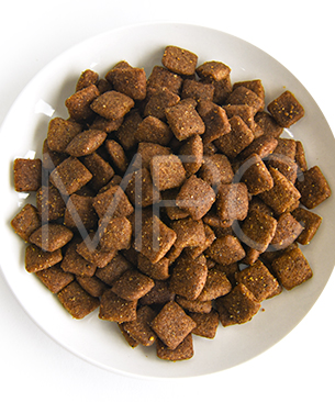 プレスティージ DOG パピー 中粒