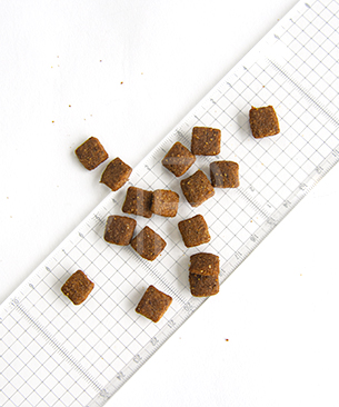 プレスティージ DOG パピー 中粒