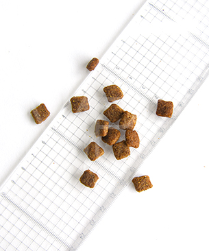 プレスティージ DOG アダルト 小粒