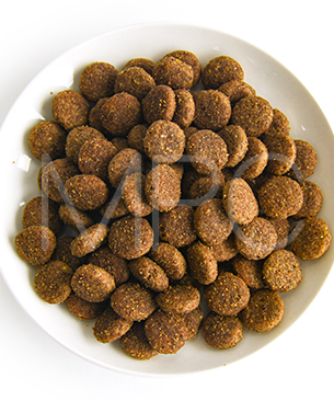 プレスティージ DOG アダルト 中粒