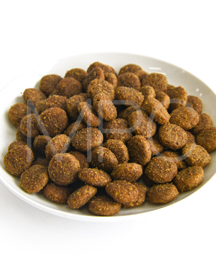 プレスティージ DOG アダルト 中粒