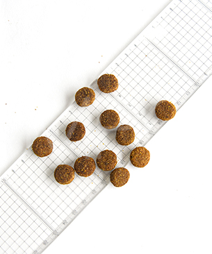 プレスティージ DOG アダルト 中粒