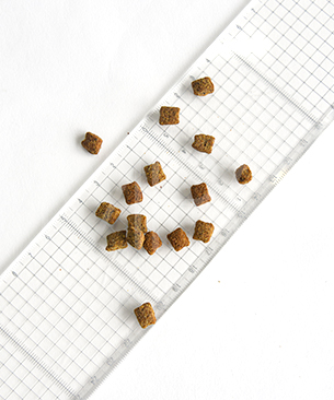 プレスティージ DOG 体重管理・避妊去勢 小粒