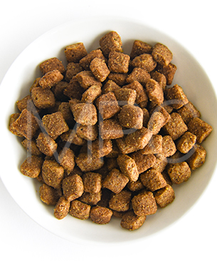 プレスティージ DOG エイジングケア 小粒