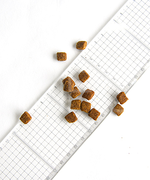 プレスティージ DOG エイジングケア 小粒