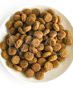 プレスティージ DOG エイジングケア 中粒