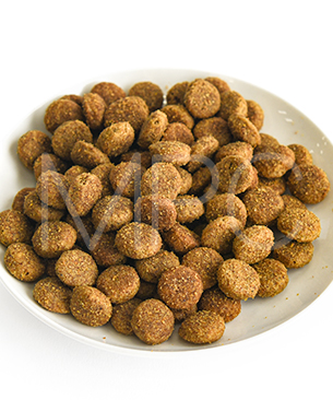 プレスティージ DOG エイジングケア 中粒