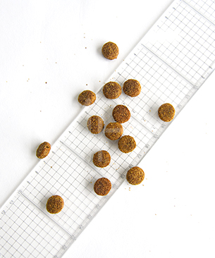 プレスティージ DOG エイジングケア 中粒