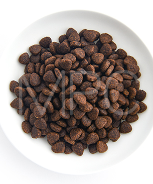 シグネチャー７ DOG アンセストラルダイエット ダイジェスティブ＆レバー