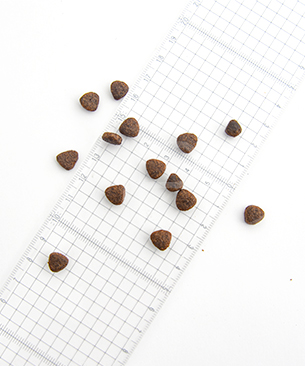 シグネチャー７ DOG アンセストラルダイエット ダイジェスティブ＆レバー