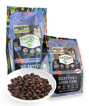 プレミアム　ドッグフード 71p7+HYdiYL._AC_UL210_SR210,