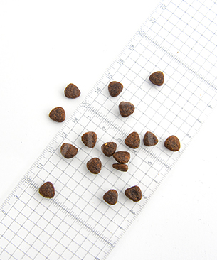 シグネチャー７ DOG アンセストラルダイエット スキン＆アレルギー