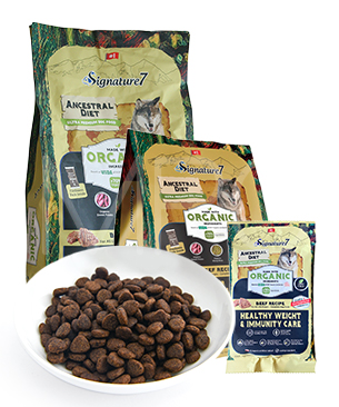 ダイエット食品 短期スタイル ダイエットシェイク 10袋 井藤漢方製薬 | イオン