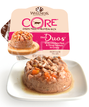 ウェルネス コア ディバインデュオ チキンパテ&角切りサーモン-79g
