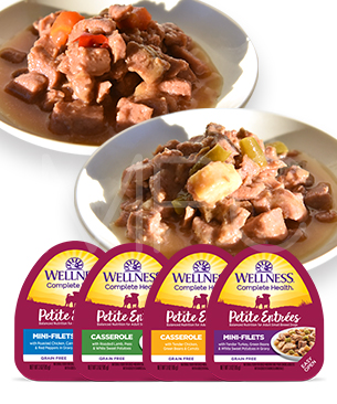 ウェルネス 【数量限定品】 プチアントレ アソートセット 85g 4種セット