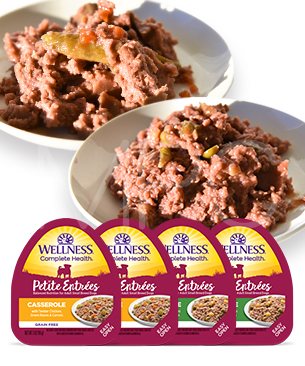 ウェルネス 【数量限定品】 プチアントレ 柔らか煮込みチキン アソートセット 85g 2種セット