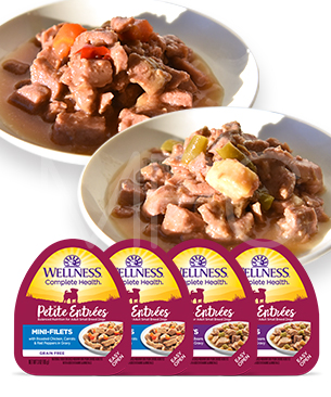 ウェルネス【数量限定品】プチアントレグレービー仕立てチキン アソートセット 85g 2種セット