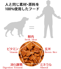 栄養バランス図