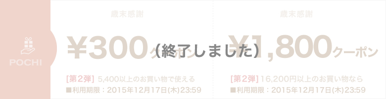 歳末ボーナスクーポン