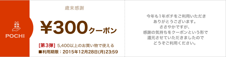歳末ボーナスクーポン