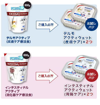 プレゼント内容