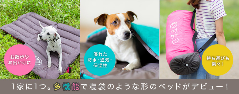1家に1つ。多機能で寝袋のような形のベッドがデビュー