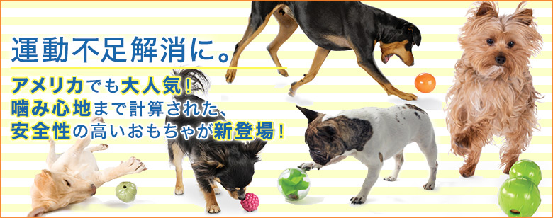 アメリカ製おもちゃブランドPLANET DOG(プラネット ドッグ）のOrbee Tuff（オービータフ）シリーズ